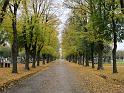 Wien (526)